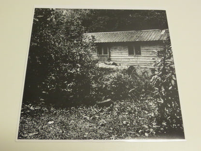 White Hills : Walks For Motorists (LP, Album, Ltd, Pur)