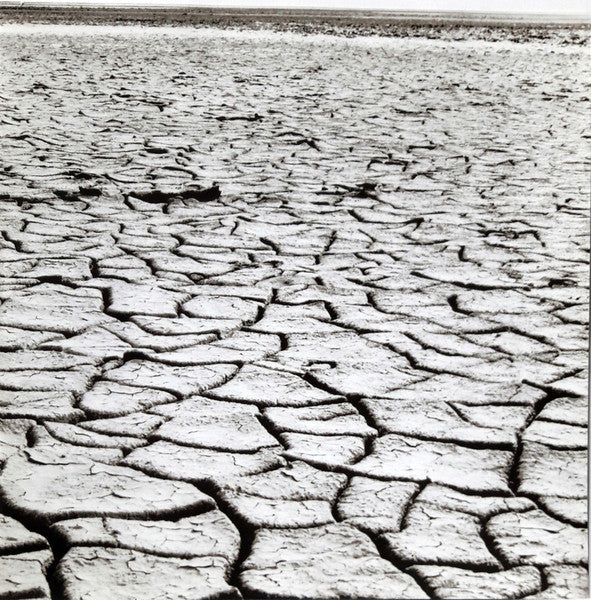 The Beach Boys : Surf's Up (LP, Album, RE, RM, 180)