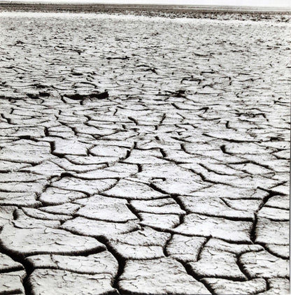 The Beach Boys : Surf's Up (LP, Album, RE, RM, 180)