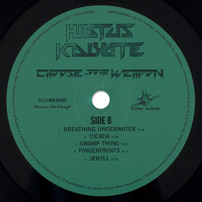 Hiatus Kaiyote : Choose Your Weapon (2xLP, Album, 180)