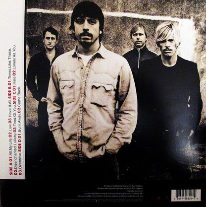 Foo Fighters : One By One (2xLP, Album, RE)