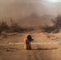 Ben Harper : Diamonds On The Inside (2xLP, Album, RE)
