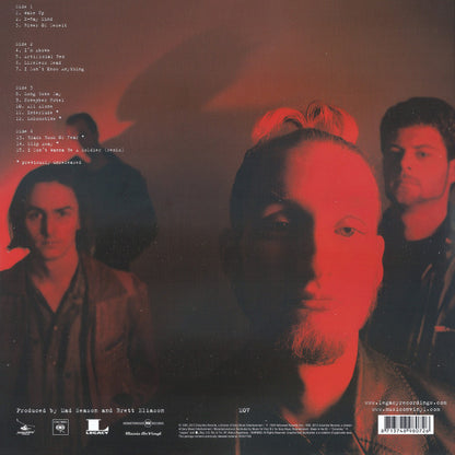 Mad Season : Above (2xLP, Album, RE, RM, 180)