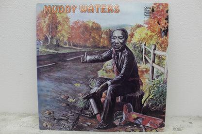 Muddy Waters : Chess Blues Masters Series (2xLP, Comp)