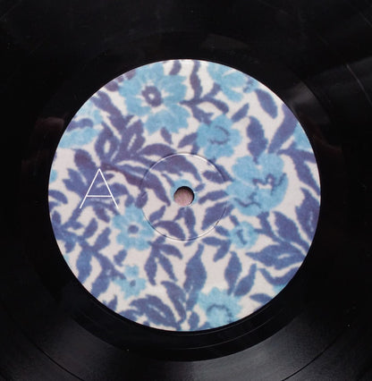 Tortoise : The Catastrophist (LP, Album)