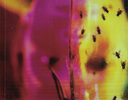 Alice In Chains : Jar Of Flies (CD, EP)