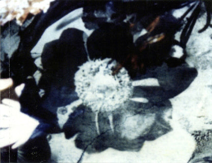 The Cure : Disintegration (CD, Album, RE, RM)