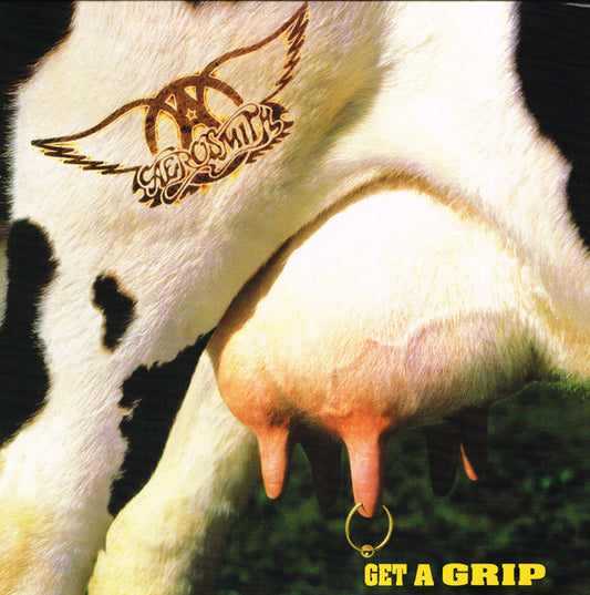 Aerosmith : Get A Grip (2xLP, Album, RE, 180)