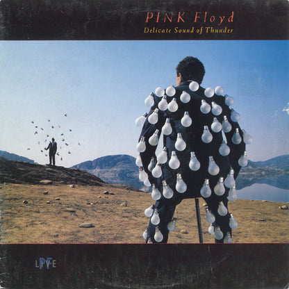 Pink Floyd - Delicate Sound Of Thunder (2xLP, Album, Gat) (Very Good (VG))