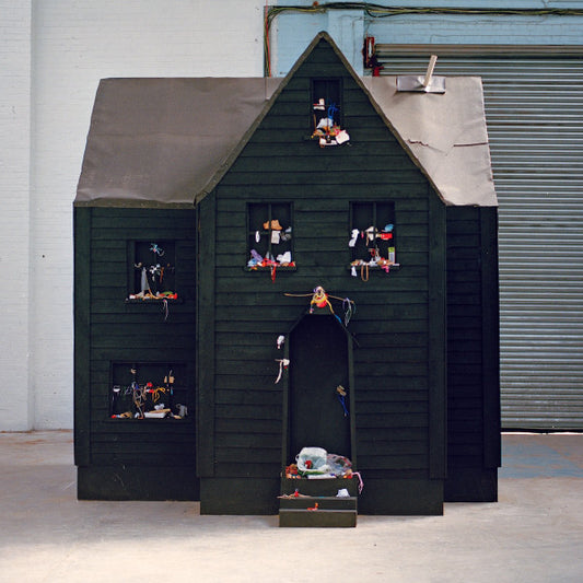 NewDad - Altar (LP, Album, Rec) (Mint (M))