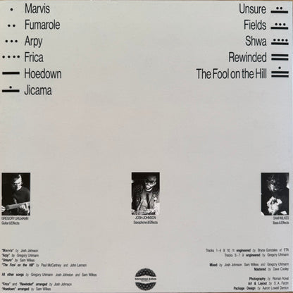 Gregory Uhlmann, Josh Johnson  - Uhlmann Johnson Wilkes (LP, Ltd, Con) (Mint (M))